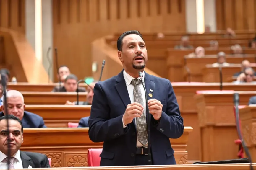 النائب جرجس لاوندي، عضو مجلس النواب
