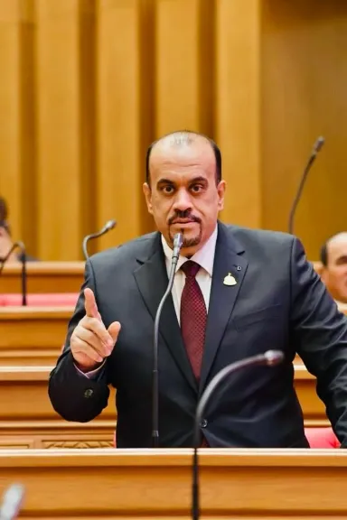 النائب إيهاب إمام، عضو مجلس النواب