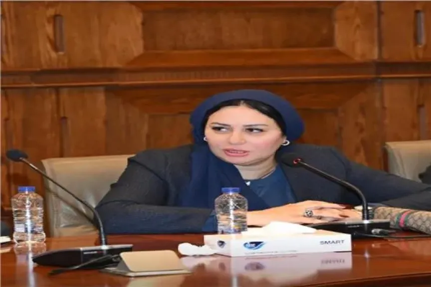 النائبة شيرين صبري، عضو مجلس الشيوخ