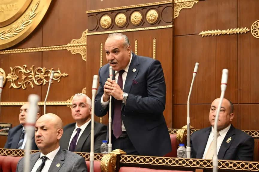 النائب محمد نوح، عضو مجلس الشيوخ