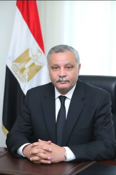 الدكتور أحمد السعودي خبير النظم السياسية والتشريعية