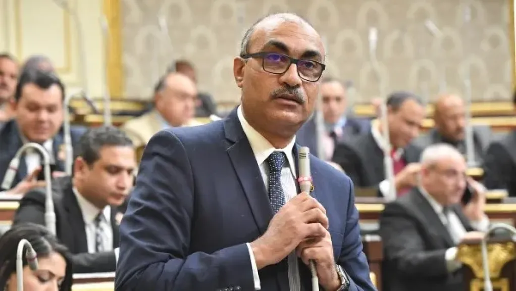 النائب إيهاب منصور، وكيل لجنة القوى العاملة بمجلس النواب