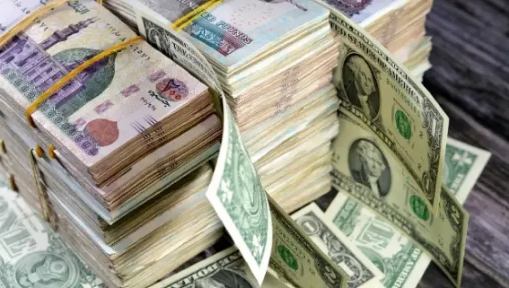  تمويل المشروعات الصغيرة