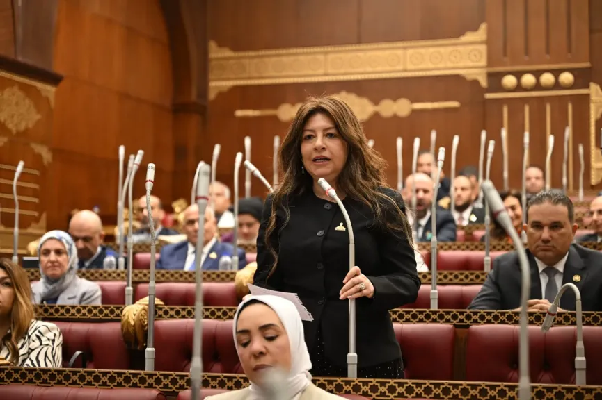 الدكتورة سوزي سمير، عضو مجلس الشيوخ