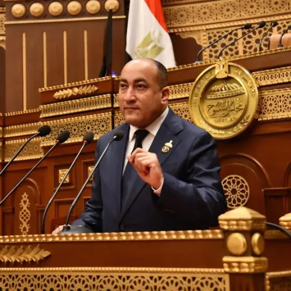 النائب عمرو رشاد، عضو مجلس الشيوخ