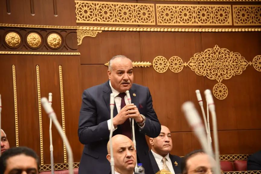النائب محمد نوح، عضو مجلس الشيوخ