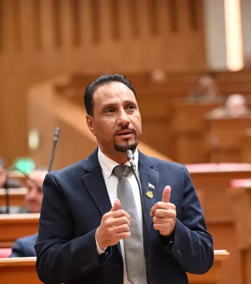 النائب جرجس لاوندي، عضو مجلس النواب