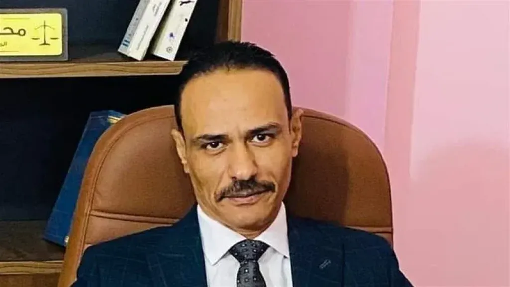 محمد ميزار: القانون الجديد أبقى سن الحضانة للطفل حتى 15 عامًا مع حق الصغير في التخيير