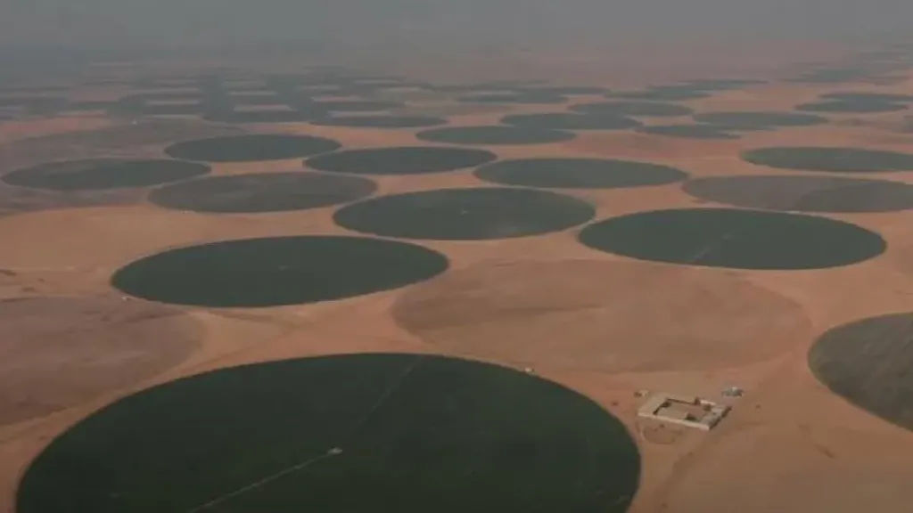 مشروع الدلتا الجديد