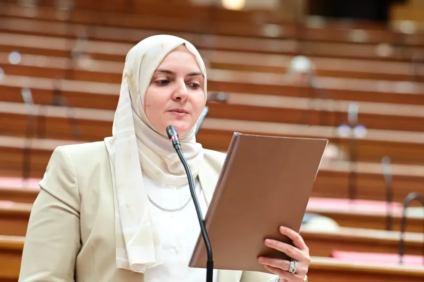 الدكتور جيلان أحمد، عضو لجنة الصحة بمجلس النواب