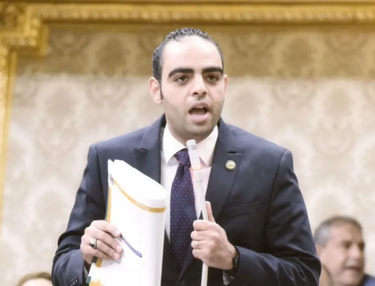 النائب حسن عمر حسنين، عضو مجلس النواب