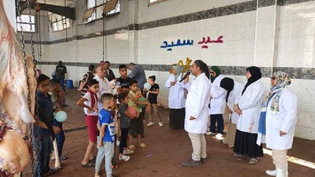 مجازر الطب البيطري