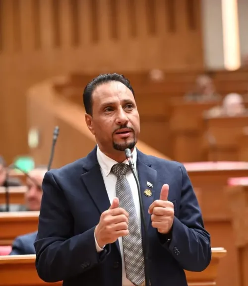 النائب جرجس لاوندي، عضو مجلس النواب