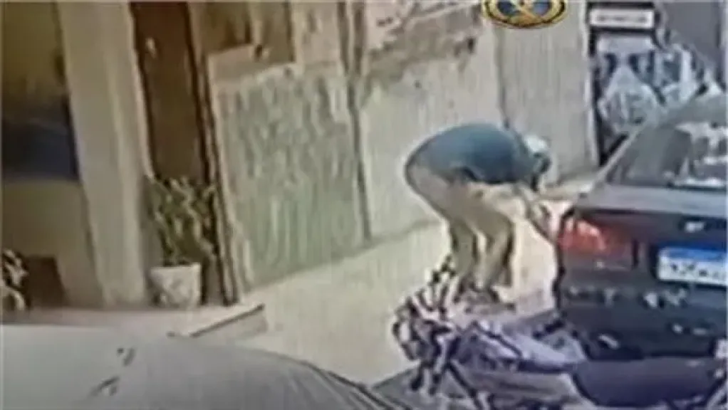 جانب من الصور 