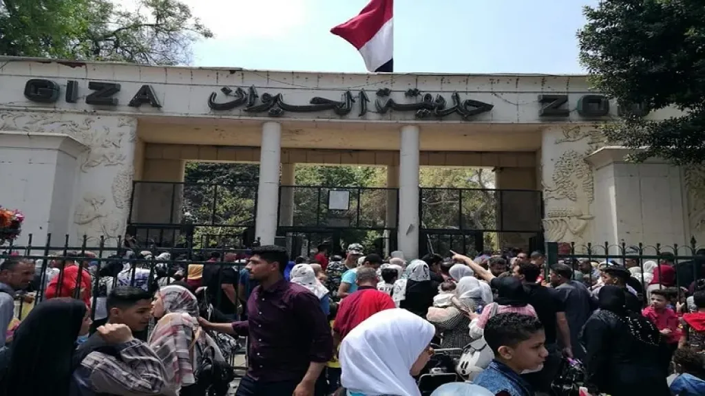 زائري حديقة الحيوان