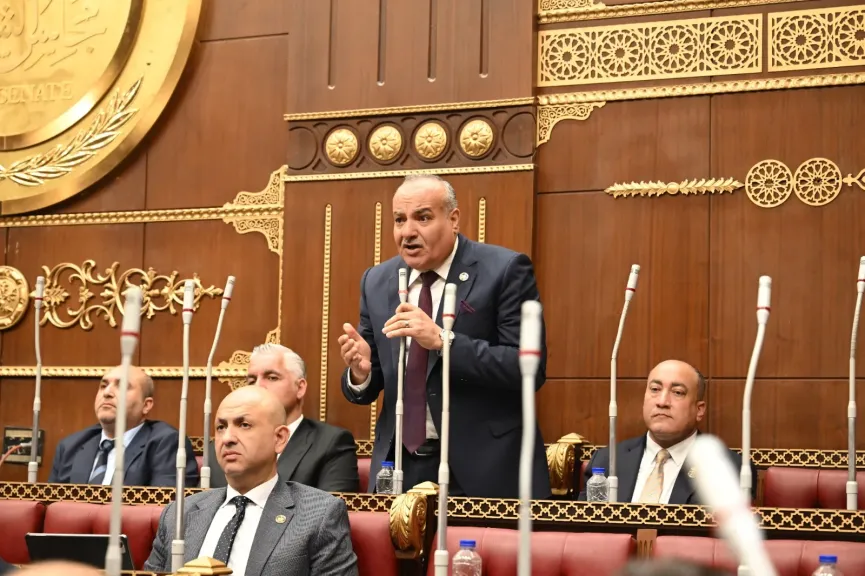 النائب محمد نوح، عضو مجلس الشيوخ 