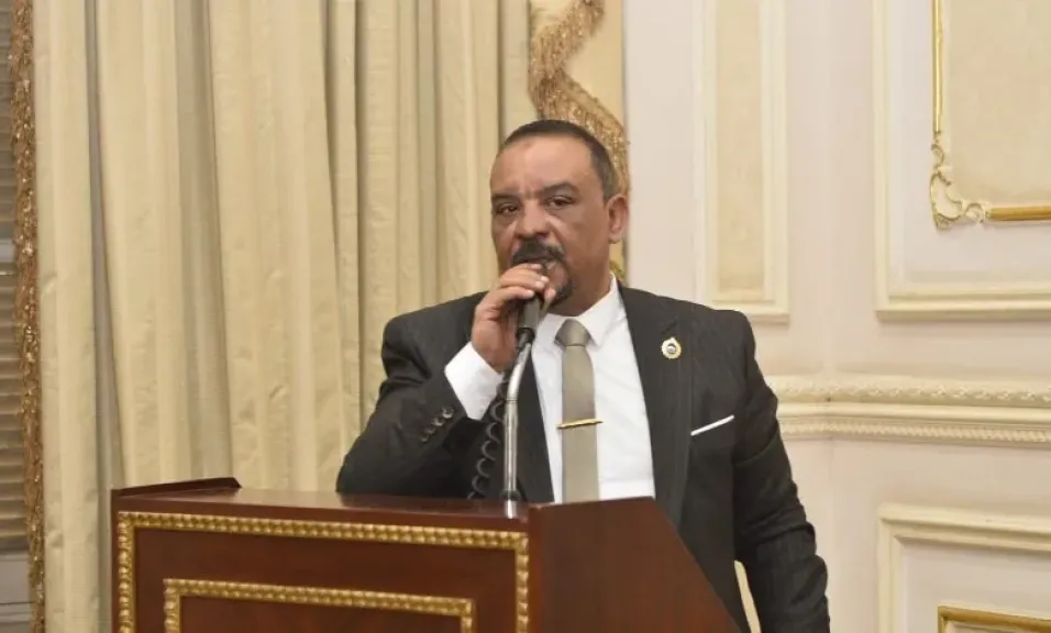  النائب أحمد حافظ عضو مجلس الشيوخ