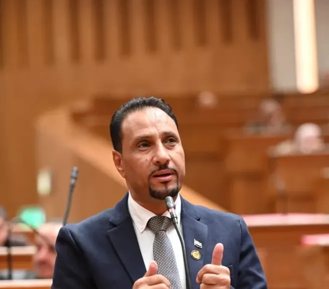 النائب جرجس لاوندي، عضو مجلس النواب