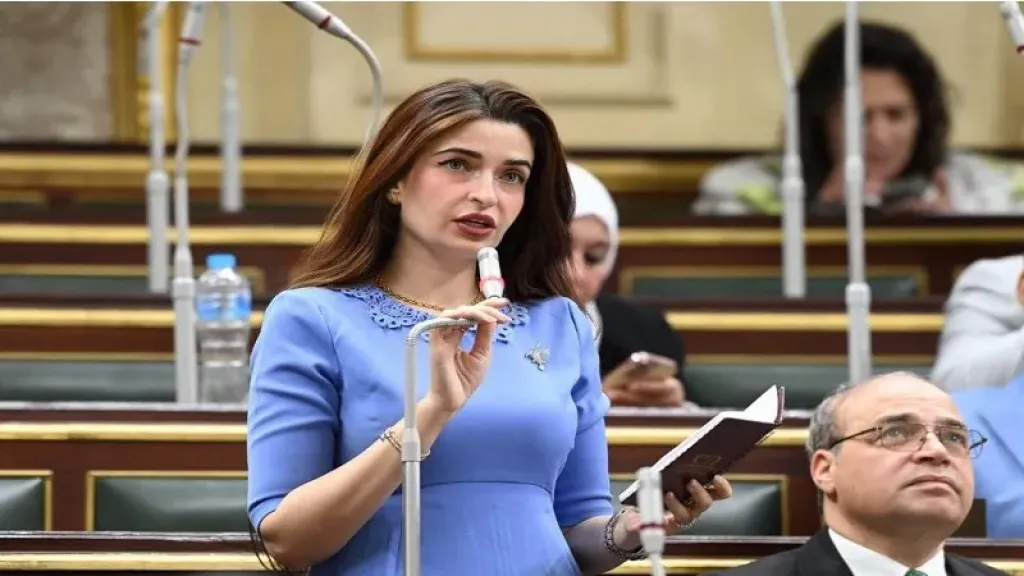 إيرين سعيد: ملف امتياز الصيدلة محتاج تنفيذ مش قوانين جديدة|فيديو