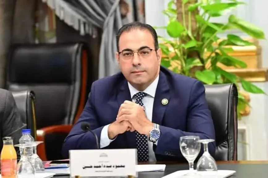 الدكتور محمود حسين رئيس اتحاد شباب المصريين بالخارج