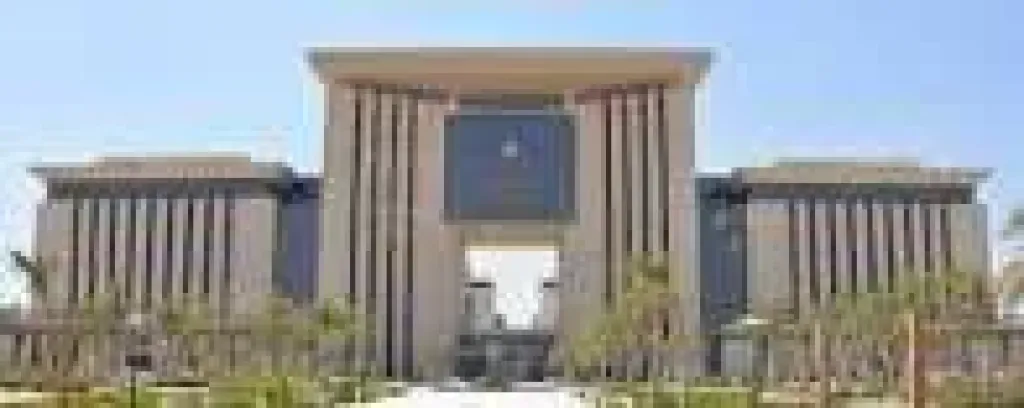 وزاره العدل