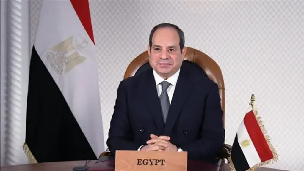 قرار جمهوري بتخصيص 26690 فدانا لوزارة المالية لاستخدامها في إصدار الصكوك السيادية