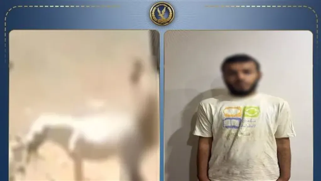 يعاني من اضطرابات نفسية.. الداخلية تكشف ملابسات تعدي شخص على حمار بالقليوبية