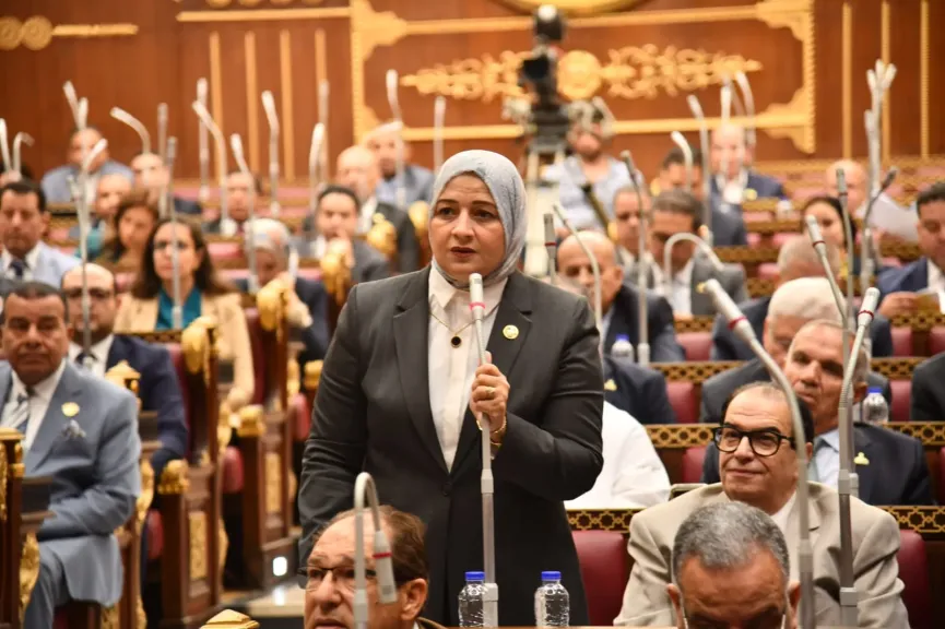 النائبة مروة قنصوه