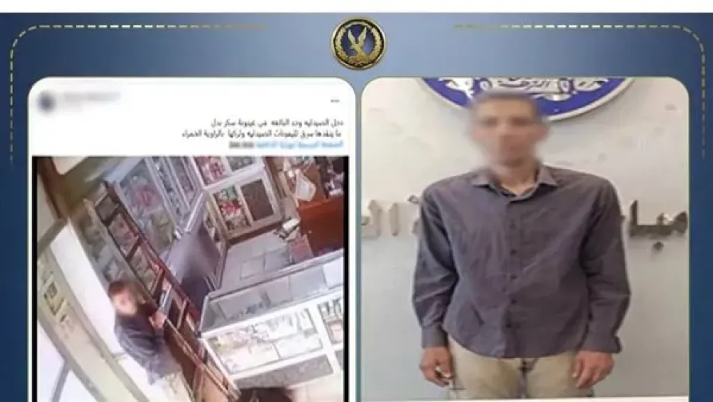 بلا إنسانية.. كيف استغل لص الزاوية الحمراء ”غيبوبة عاملة الصيدلية” لسرقة هاتفها؟