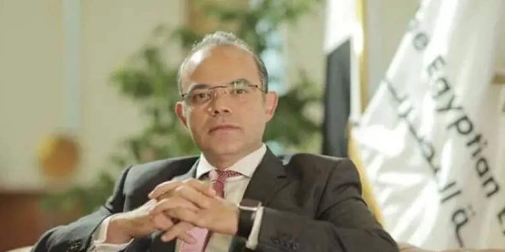 الدكتور محمد فريد، وزير الاستثمار