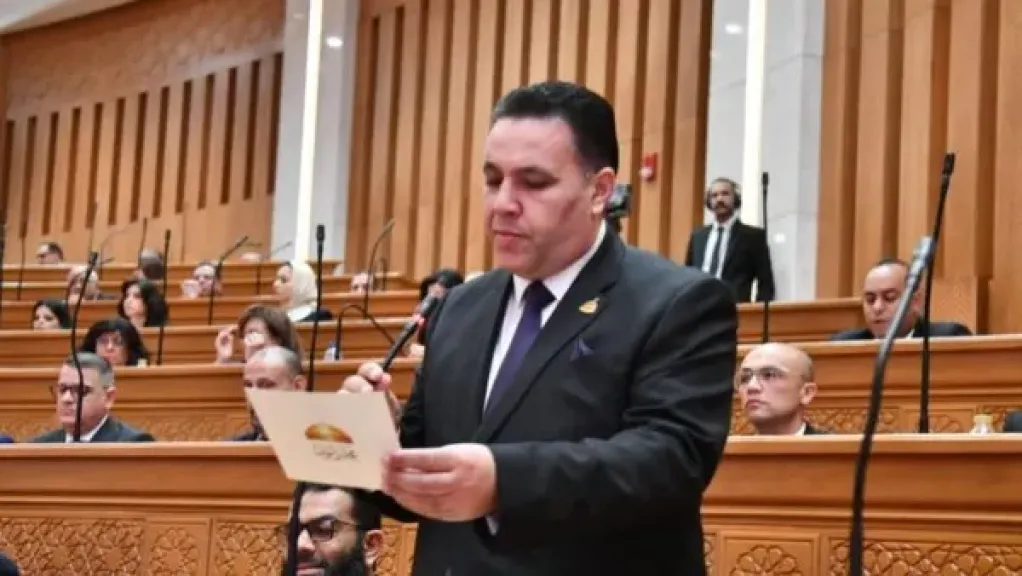 النائب عماد الغنيمي عضو مجلس النواب