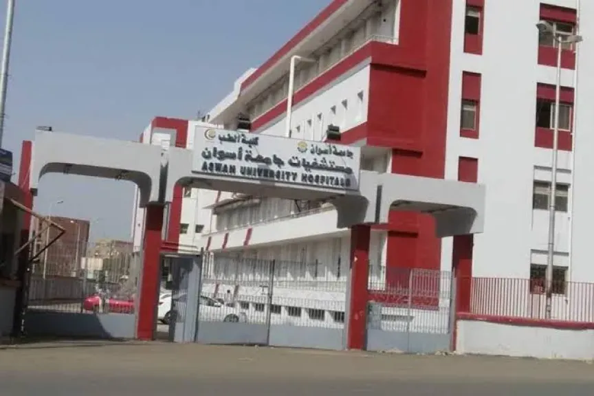 حتى الآن 13 شخص.. تفاصيل حادث عقر كلب مسعور بقرية المعمارية بإدفو ونقل المصابين للمستشفيات