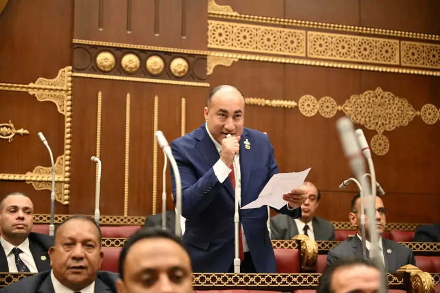 النائب عمرو رشاد: تصريحات الرئيس الأمريكي أكدت نجاحات ثورة 30 يونيو