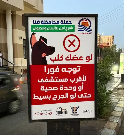 نشر ثقافة التعامل السليم مع الكلاب الضالة بمحافظة قنا