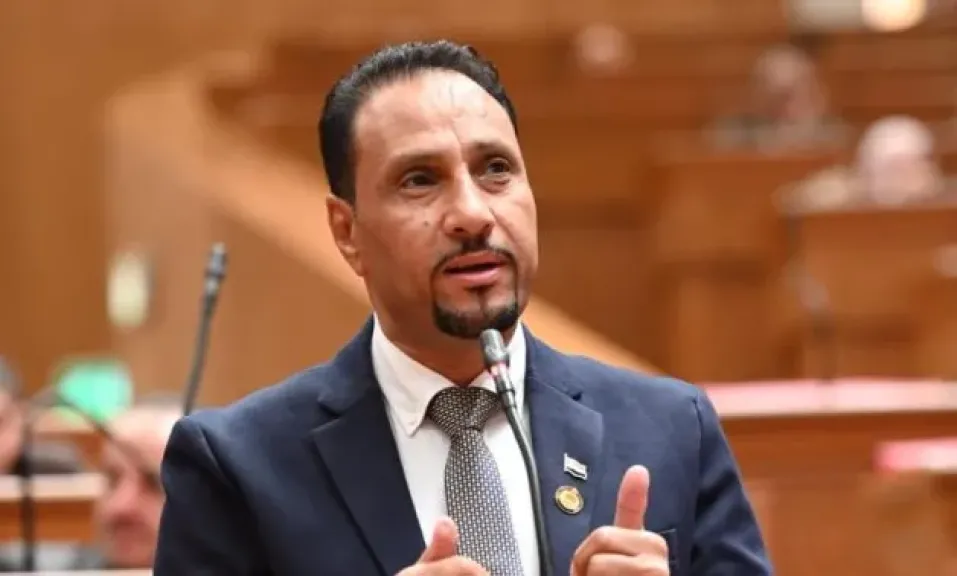 جرجس لاوندي: زيادة موازنة الصحة 25% غير كافية وحدها لتحسين جودة حياة المواطن