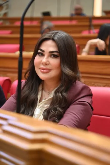  النائبة ولاء الصبان، عضو مجلس النواب