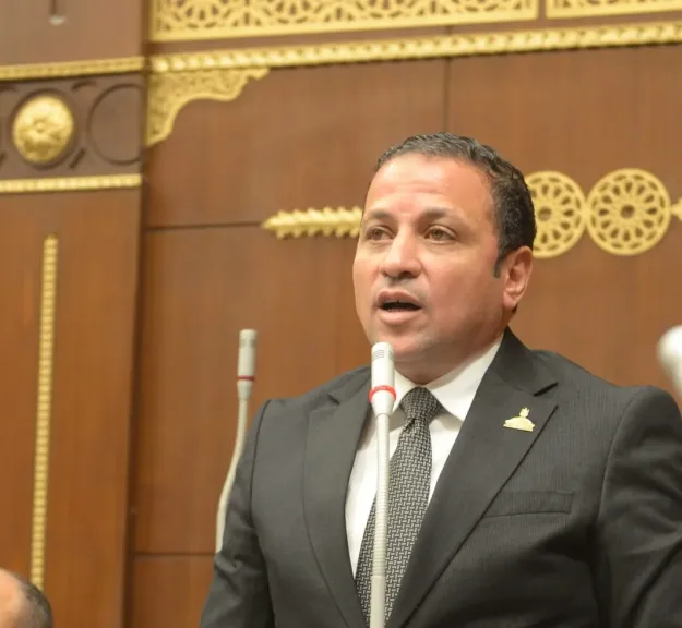 النائب عادل السكري عضو مجلس الشيوخ