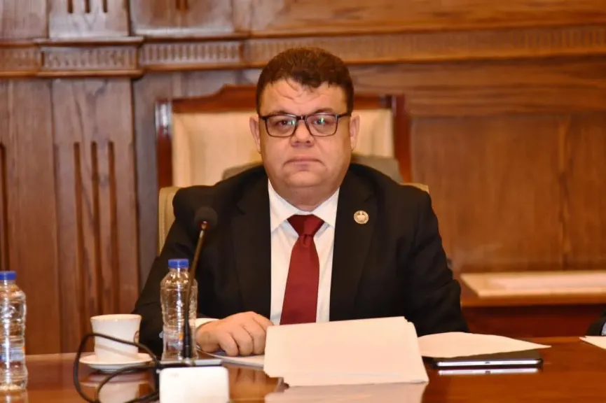 النائب محمد البديوي، عضو مجلس الشيوخ