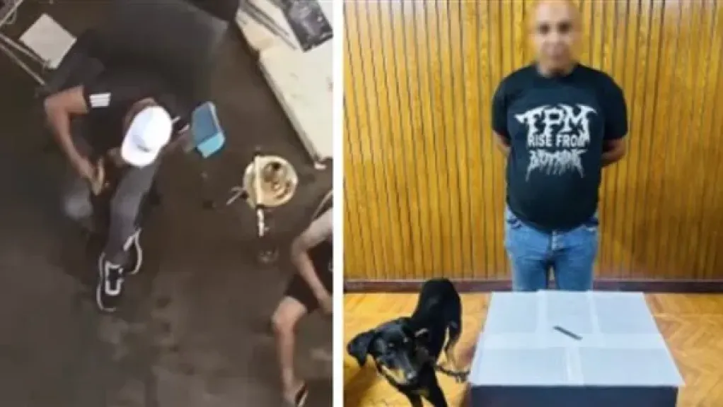 بسبب تعذيب حيوان.. الأمن يضبط مسجلاً جنائياً أصاب كلباً بسلاح أبيض بالإسكندرية