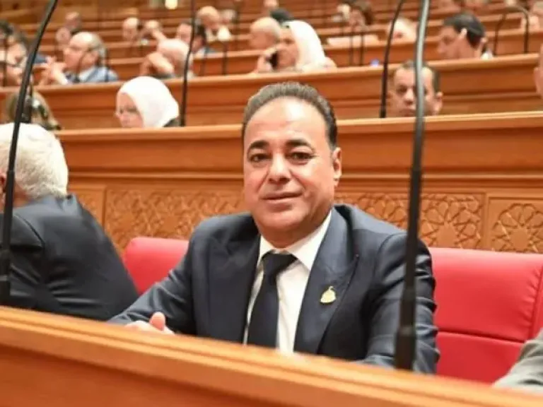 النائب سعيد العماري، عضو مجلس النواب