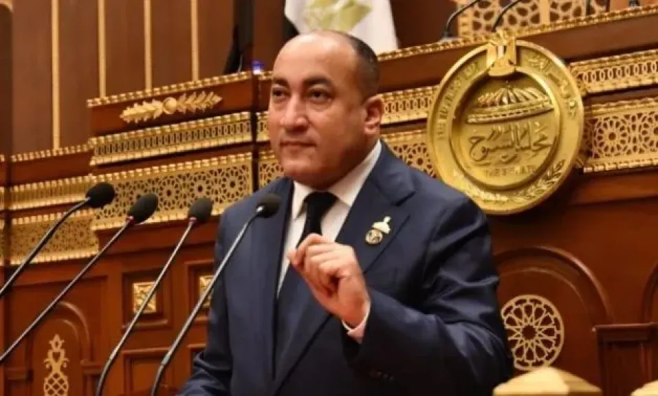 النائب عمرو رشاد، عضو مجلس الشيوخ