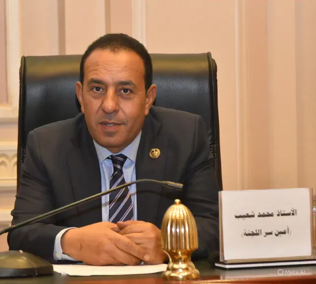 النائب محمد شعيب، أمين سر لجنة الزراعة والري بمجلس الشيوخ