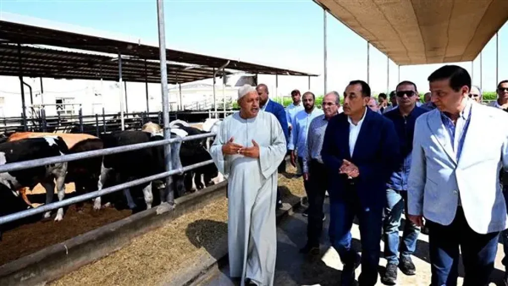 رئيس الوزراء