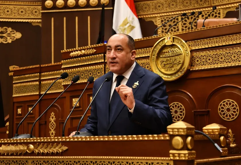 النائب عمرو رشاد