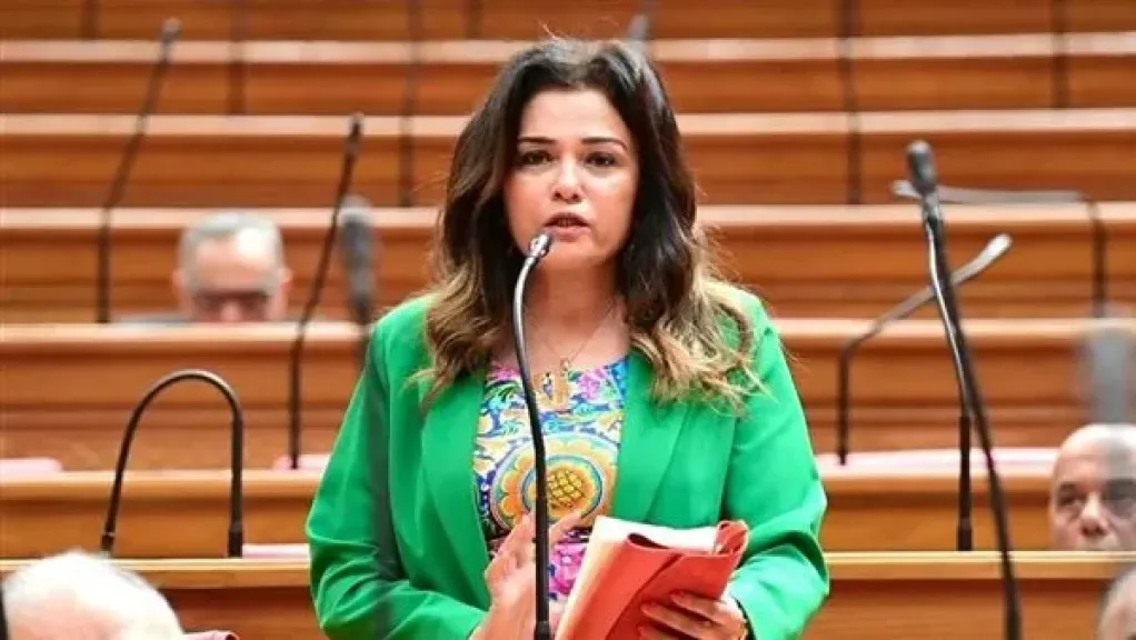 النائبة سحر طلعت مصطفى، رئيس لجنة السياحة والطيران المدني بمجلس النواب
