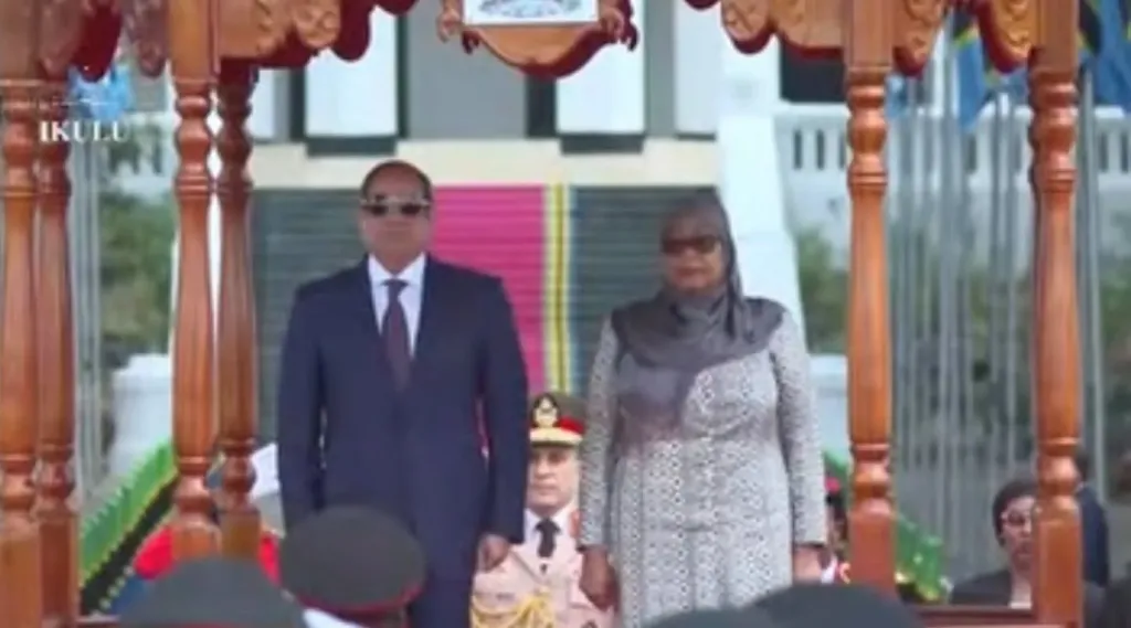 الرئيس السيسي 