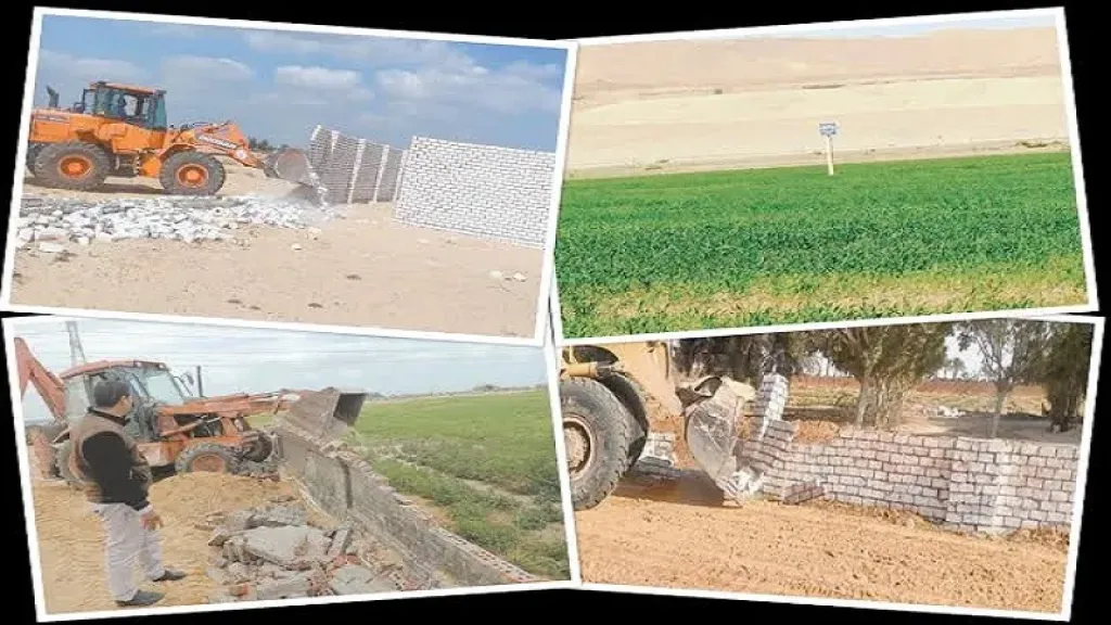 قدامك 6 أشهر.. «الغزولي» يفجر مفاجأة بشأن تقنين أراضي أملاك الدولة