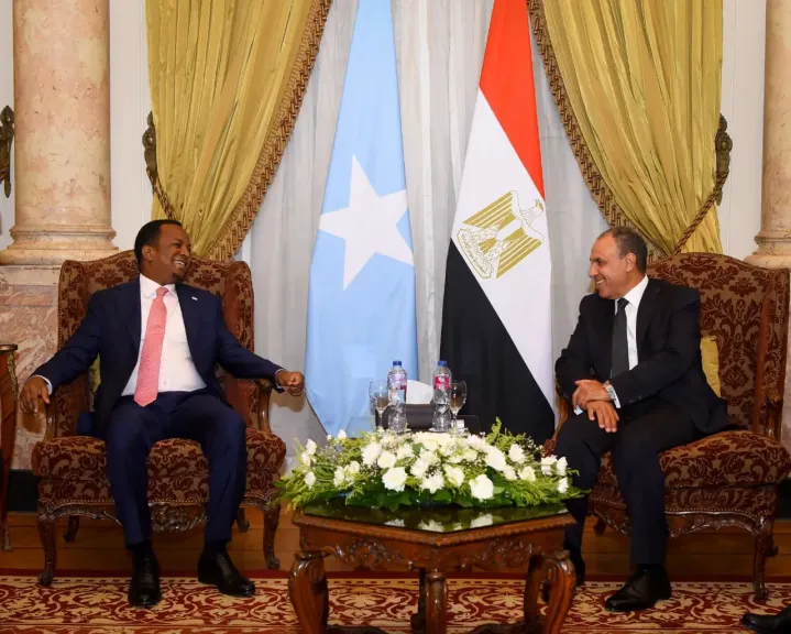 وزير الخارجية ونظيره الصومالي يبحثان سبل تعزيز العلاقات الثنائية وتطورات الأوضاع في منطقة القرن الأفريقي