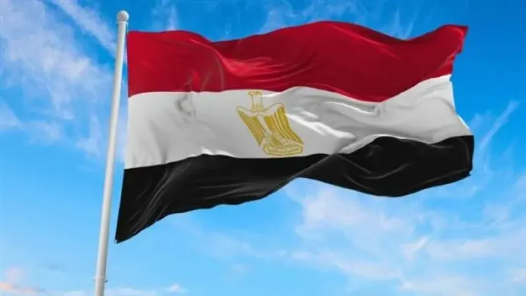 عاجل| مصر تقف مع الأشقاء.. تضامن رسمي كامل مع الجزائر في مواجهة حرائق الغابات