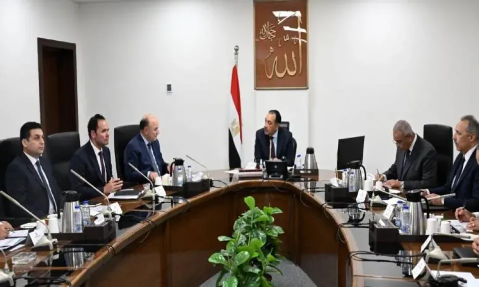 بخطة الـ 100 ألف فدان: الحكومة تطلق 5 محاور لتطوير زراعة وصناعة الكتان